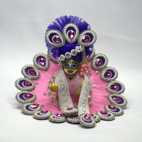 Pink Net Shringar - Main